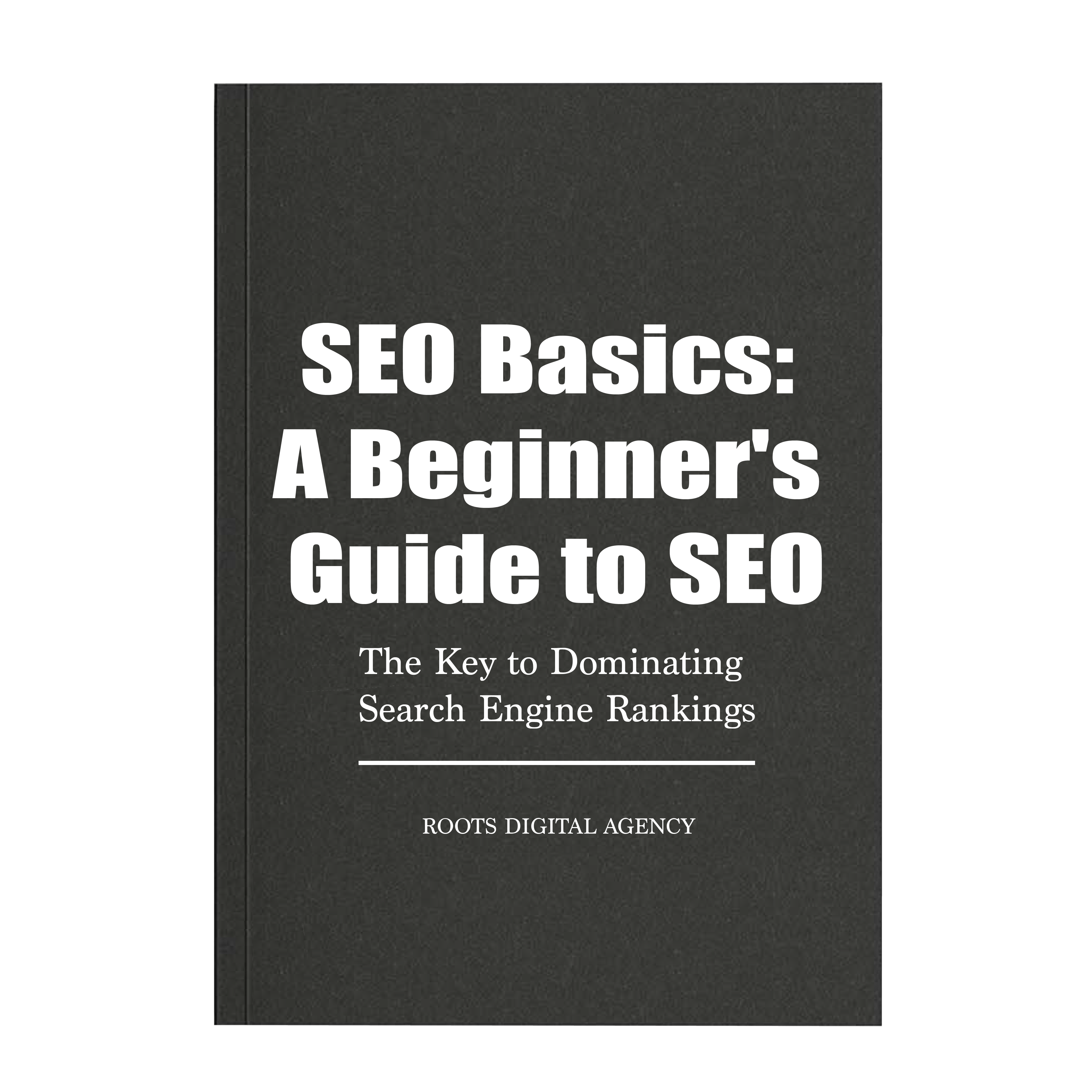 seo-basics-a-beginners-guide This is our free eBook that we provide in order for our clients to understand SEO and its capabilities at a deeper level.